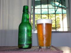 Dorada pampeana