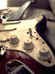 Fender