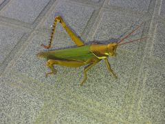 20140418 134432