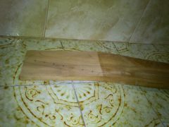 DSC 0097