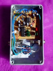DSC06132 (599x800)