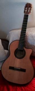 Opiniones guitarra FONSECA 41 Kec ?? - Guitarras - Musiquiatra