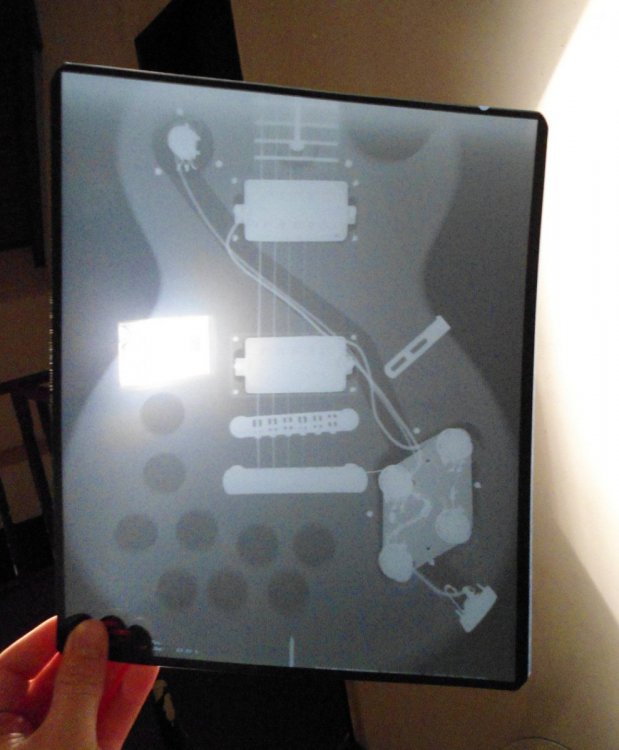 DSC02772 - copia.JPG