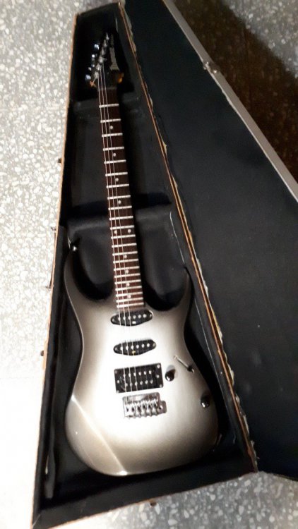 guitarra-ibanez-ex-series-con-estuche-rigido-incluido-D_NQ_NP_889408-MLA26962405766_032018-F.jpg