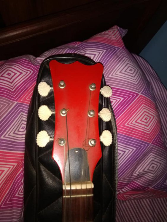 guitarra2.thumb.jpg.1e637a921fef0bc204b98766b0a79aaa.jpg