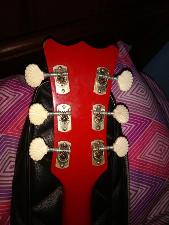 guitarra3.thumb.jpg.286aa790fabf23e51846cb92c4f4f509.jpg