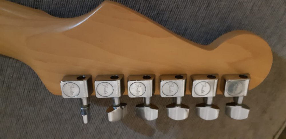 Fender_4.jpg