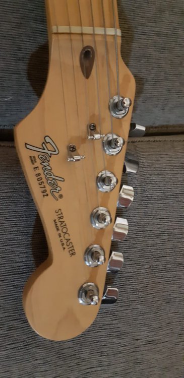 Fender_5.jpg