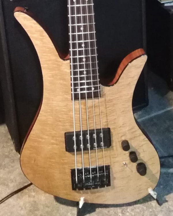 shaka bass v.jpg