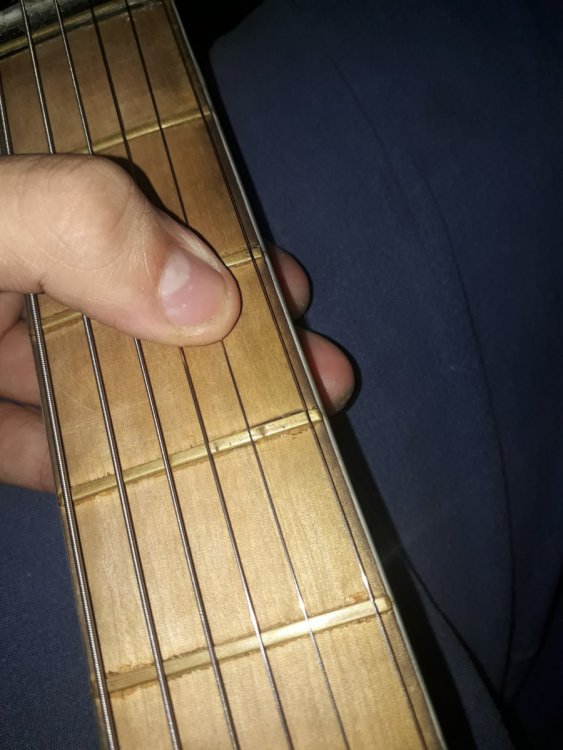 20190616_150245.jpg