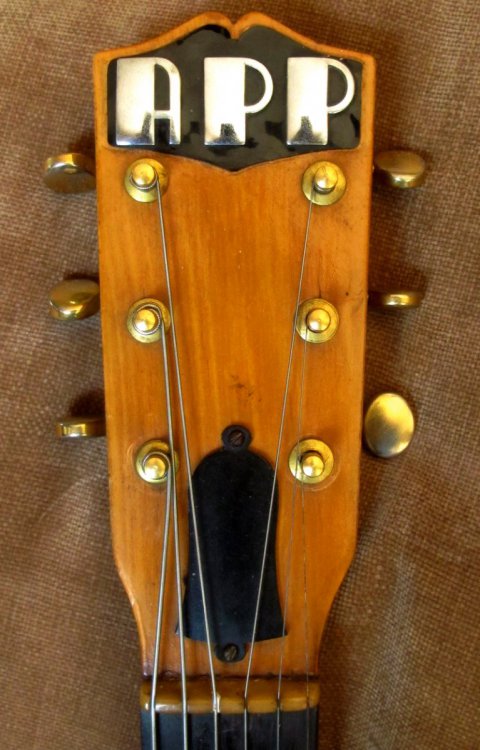 web APP headstock.jpg