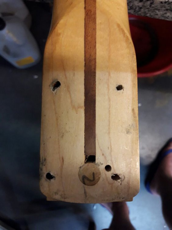 IMG-20180305-WA0002.thumb.jpg.15289b900db9290df887af5b4174dca8.jpg