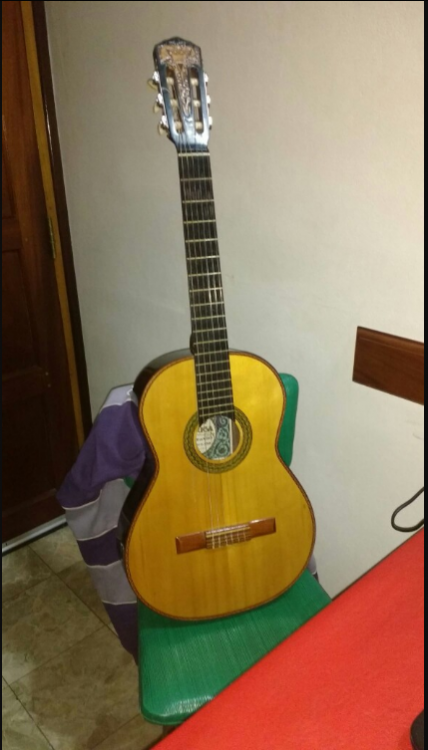 Guitarra Folkast Bombé De Fibra De Vidrio Con Funda en Córdoba Vende