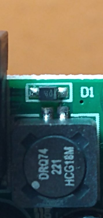 Kokko Vibrato 2.jpg