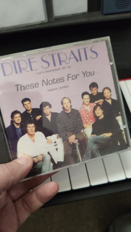 DS.jpg