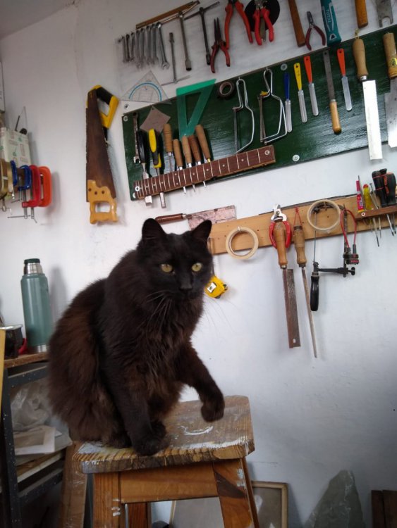 WhatsApp Image 2020-11-04 at 3.55.29 PM.jpeg