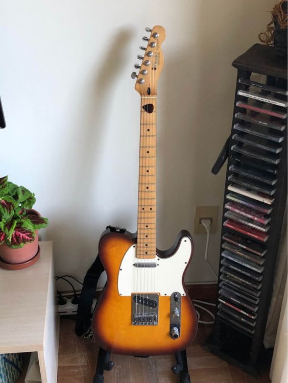 2005 - sunburst frente.jpg