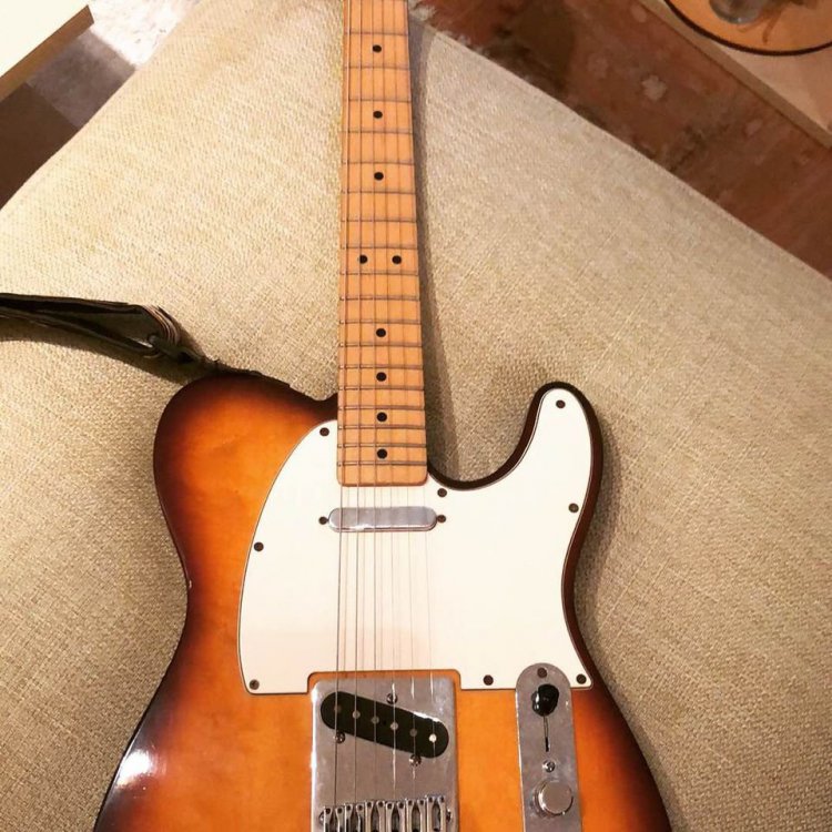 2005 - sunburst cerca.jpg