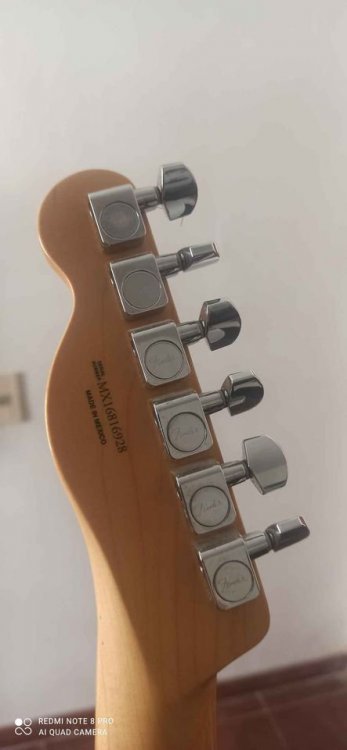 2016 -pala trasera.jpg