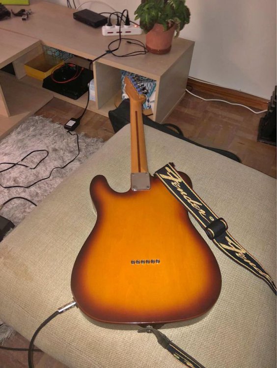 2005 - sunburst trasera.jpg