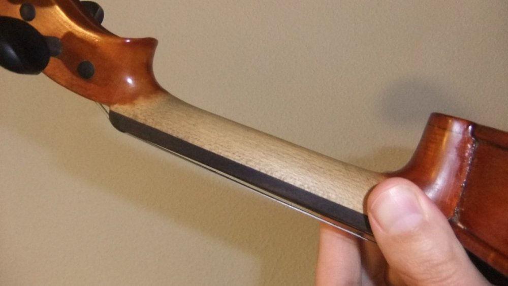 violines.jpg