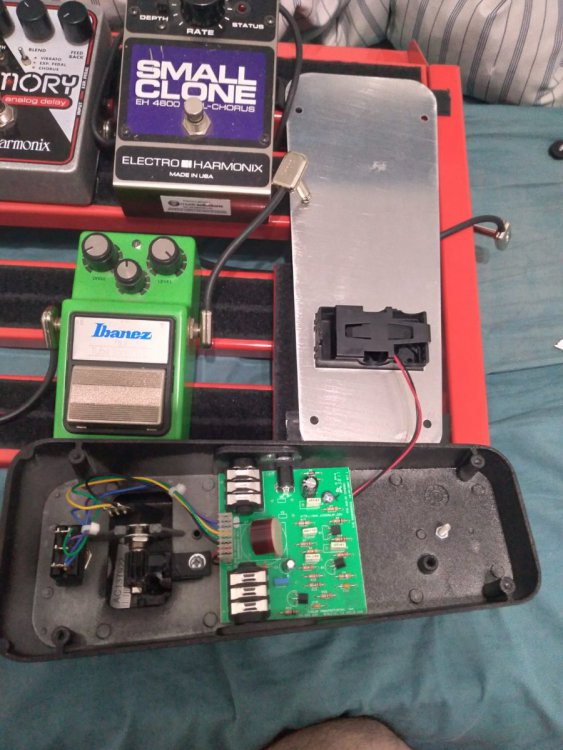 WhatsApp Image 2021-09-06 at 11.55.23 AM.jpeg