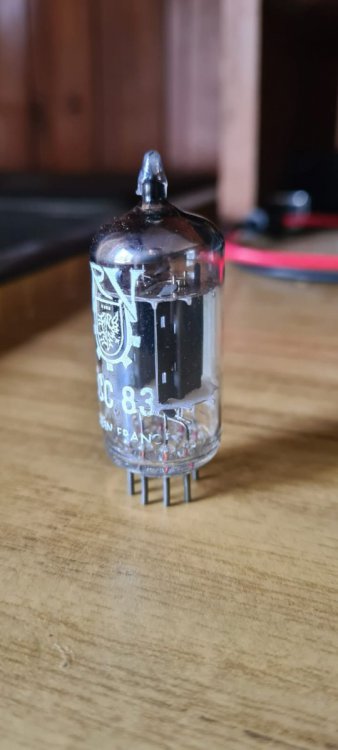 WhatsApp Image 2022-11-19 at 10.57.57.jpeg