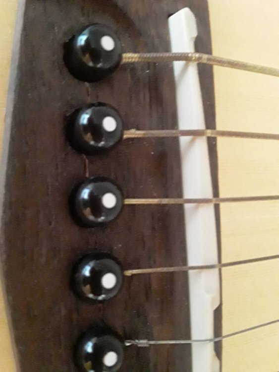 WhatsApp Image 2022-12-28 at 12.30.20.jpeg