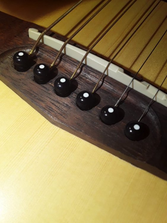 WhatsApp Image 2022-12-28 at 12.29.16.jpeg