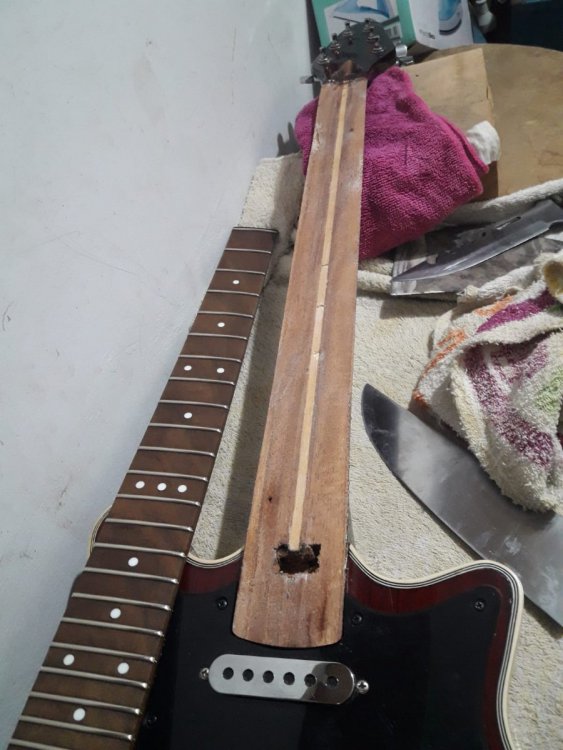 Imagen de WhatsApp 2023-01-29 a las 15.34.24.jpg