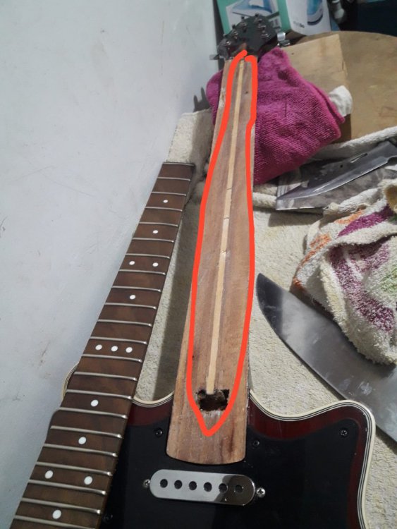 Imagen de WhatsApp 2023-01-29 a las 15.35.03.jpg