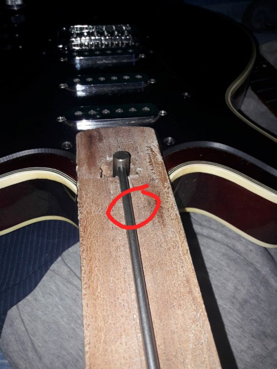 Imagen de WhatsApp 2023-02-01 a las 19.34.42.jpg