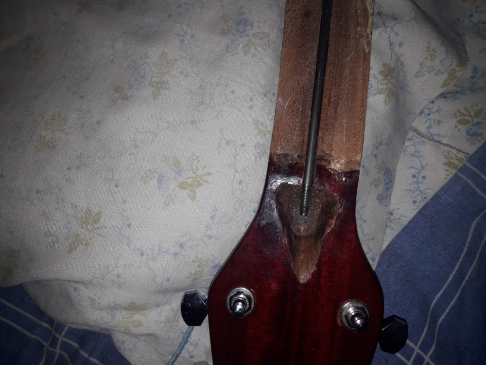 Imagen de WhatsApp 2023-02-01 a las 19.39.27.jpg