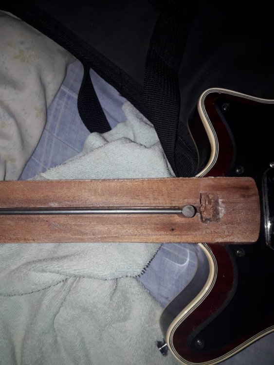 Imagen de WhatsApp 2023-02-01 a las 19.39.28.jpg