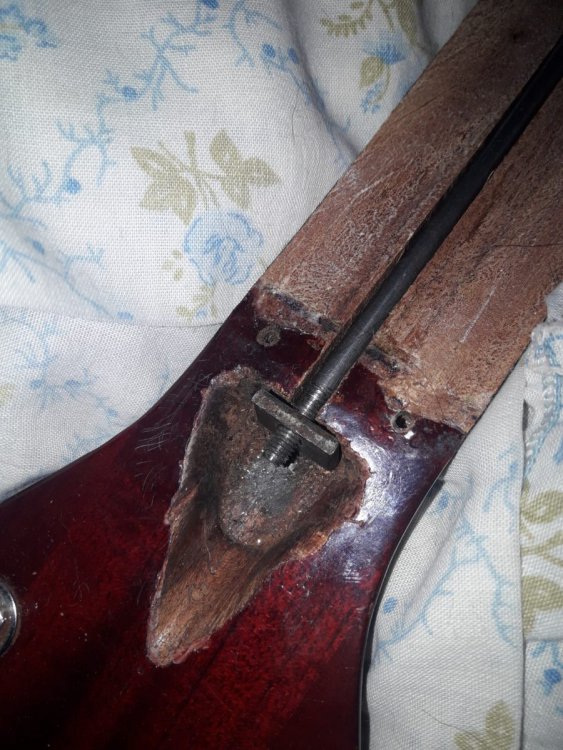 Imagen de WhatsApp 2023-02-01 a las 20.07.32.jpg