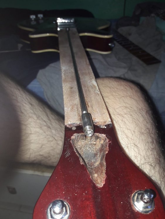 Imagen de WhatsApp 2023-02-01 a las 19.33.51.jpg