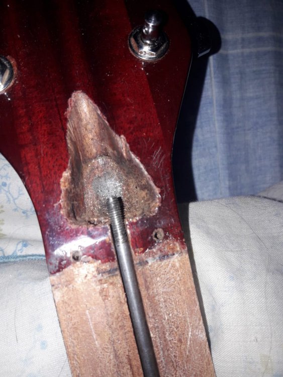 Imagen de WhatsApp 2023-02-02 a las 17.08.57.jpg