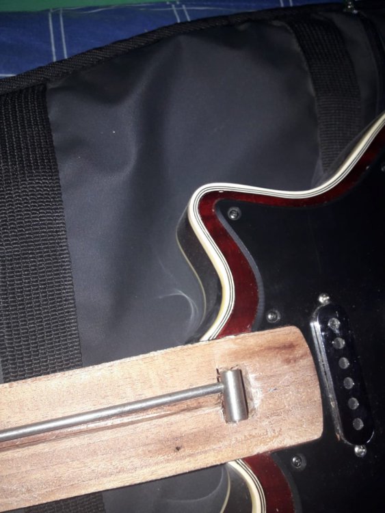 Imagen de WhatsApp 2023-02-01 a las 18.37.47.jpg