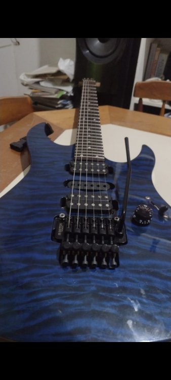 WhatsApp Image 2024-04-05 at 11.13.50.jpeg