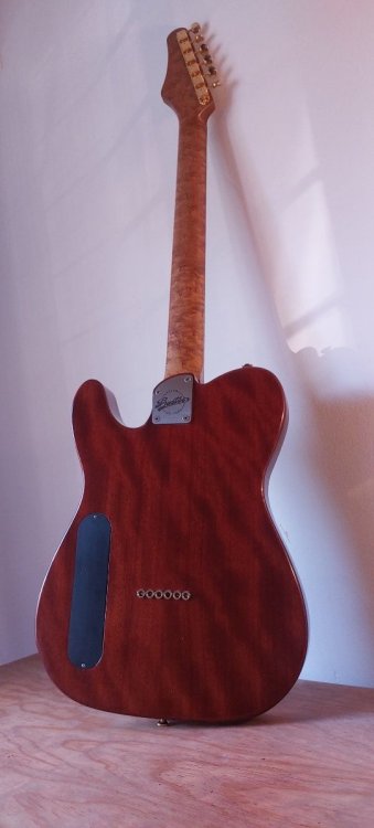 20241120_174047.jpg