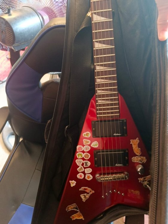 Imagen de WhatsApp 2025-03-30 a las 13.43.56_1e7d56d4.jpg