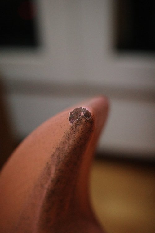 NT003678.thumb.JPG.d76067e8d905323f6fa98e39a9d5d44d.JPG